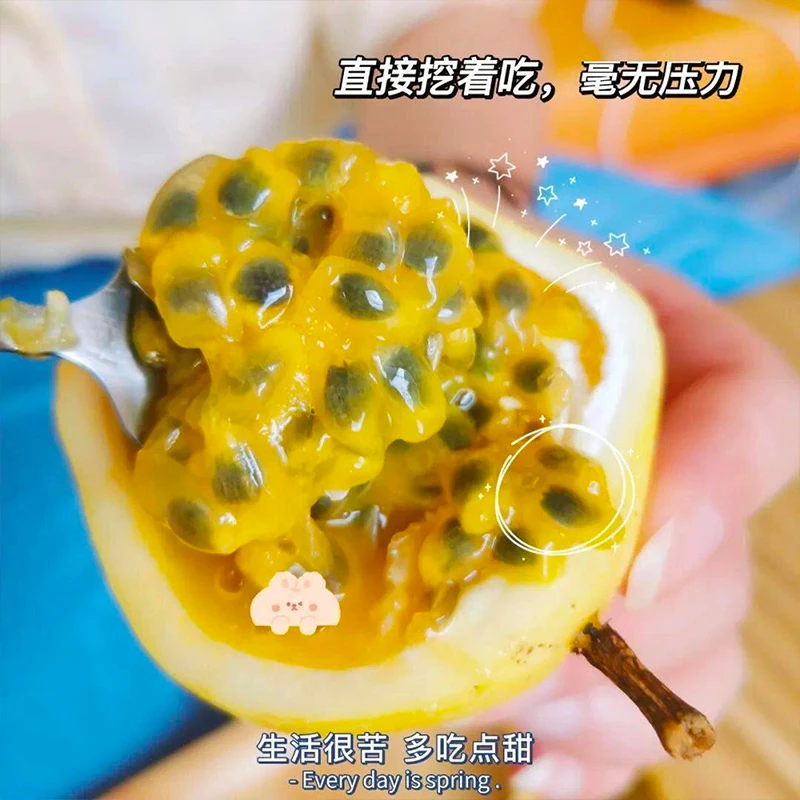 x广西正宗钦蜜九号黄金百香果新鲜水果营养丰富香甜多汁原产地直