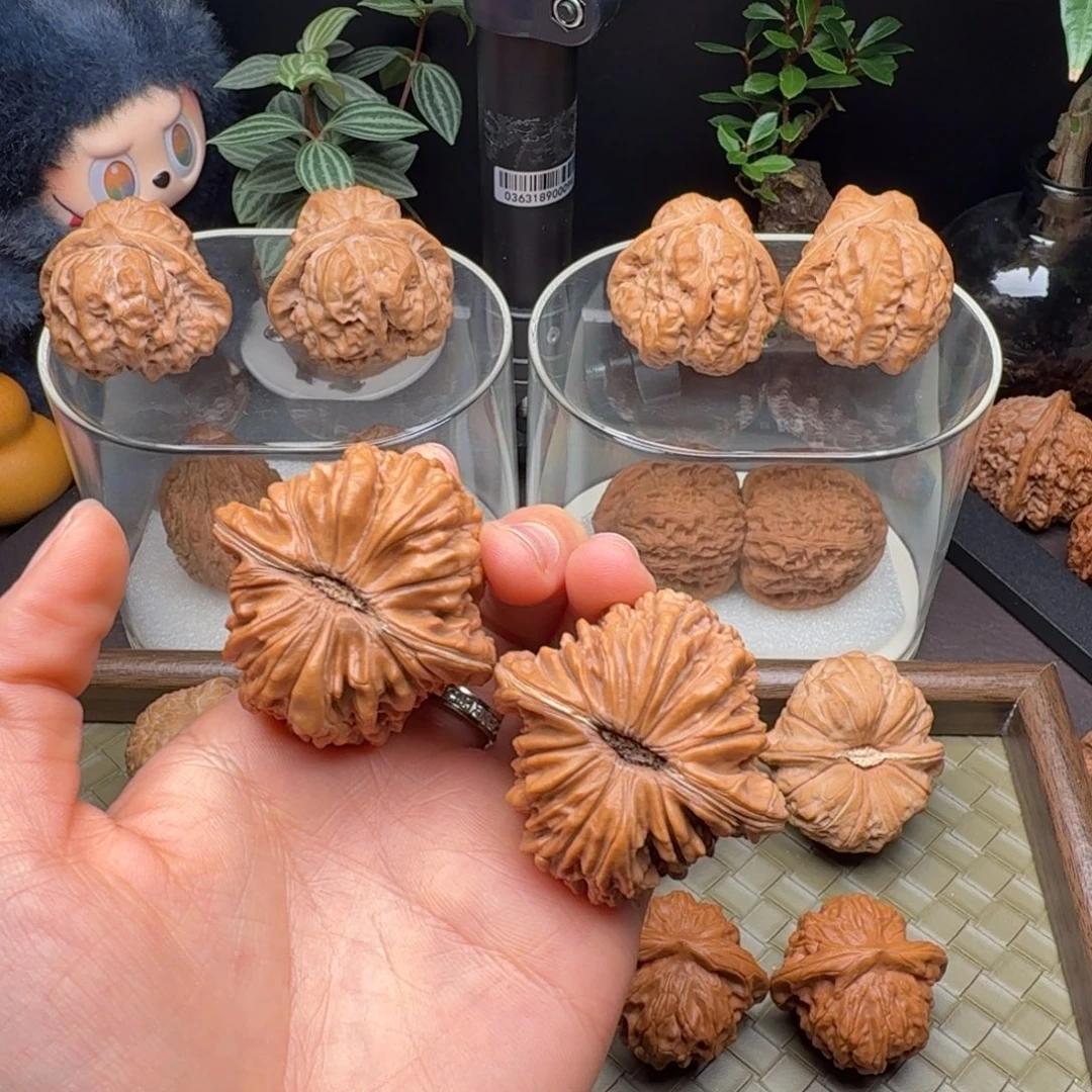 把件龙脊菩提四座楼（微修打底）45