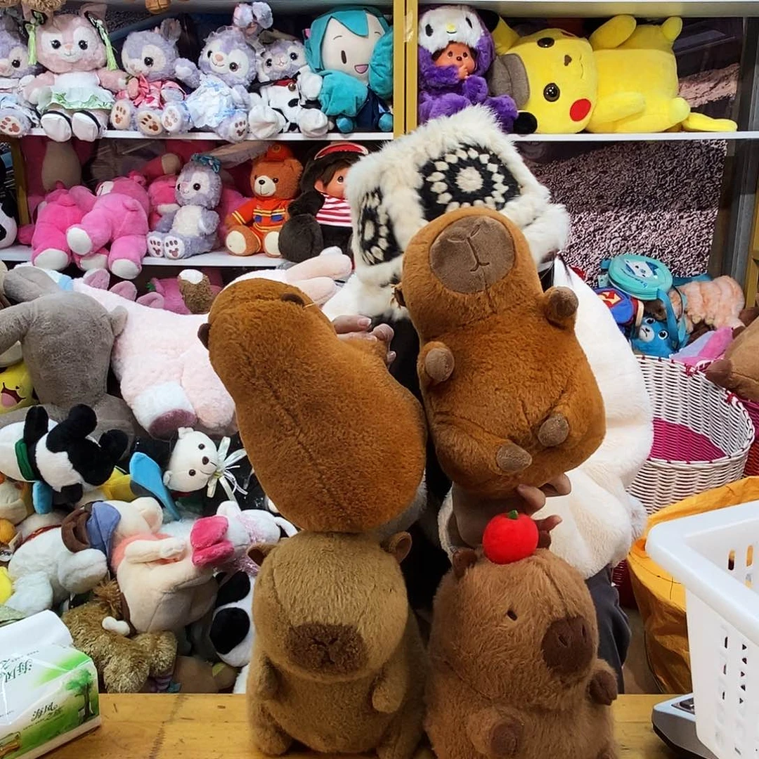 毛绒丽*姐毛绒玩具146