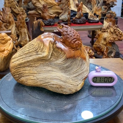 柏木用****陈太行崖柏根雕
