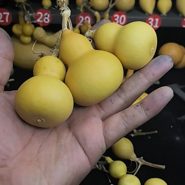 34号葫芦链接，默认微瑕