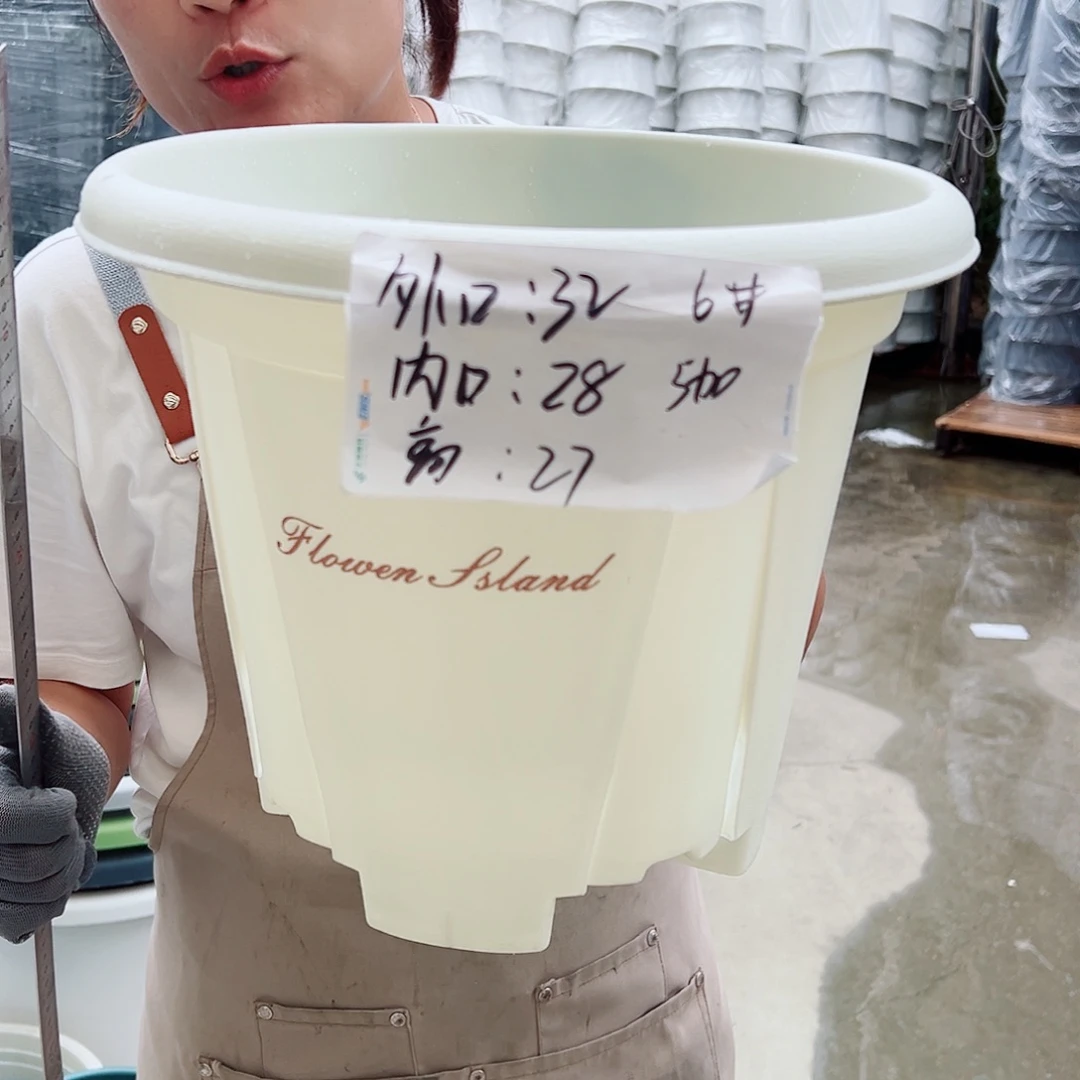 青山盆6#米白色5个无托