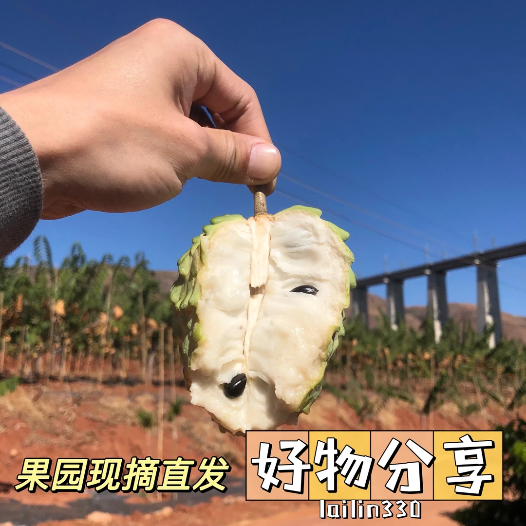 [顺丰冷链]云南凤梨释迦果佛头果150-250g中果4个新人尝鲜