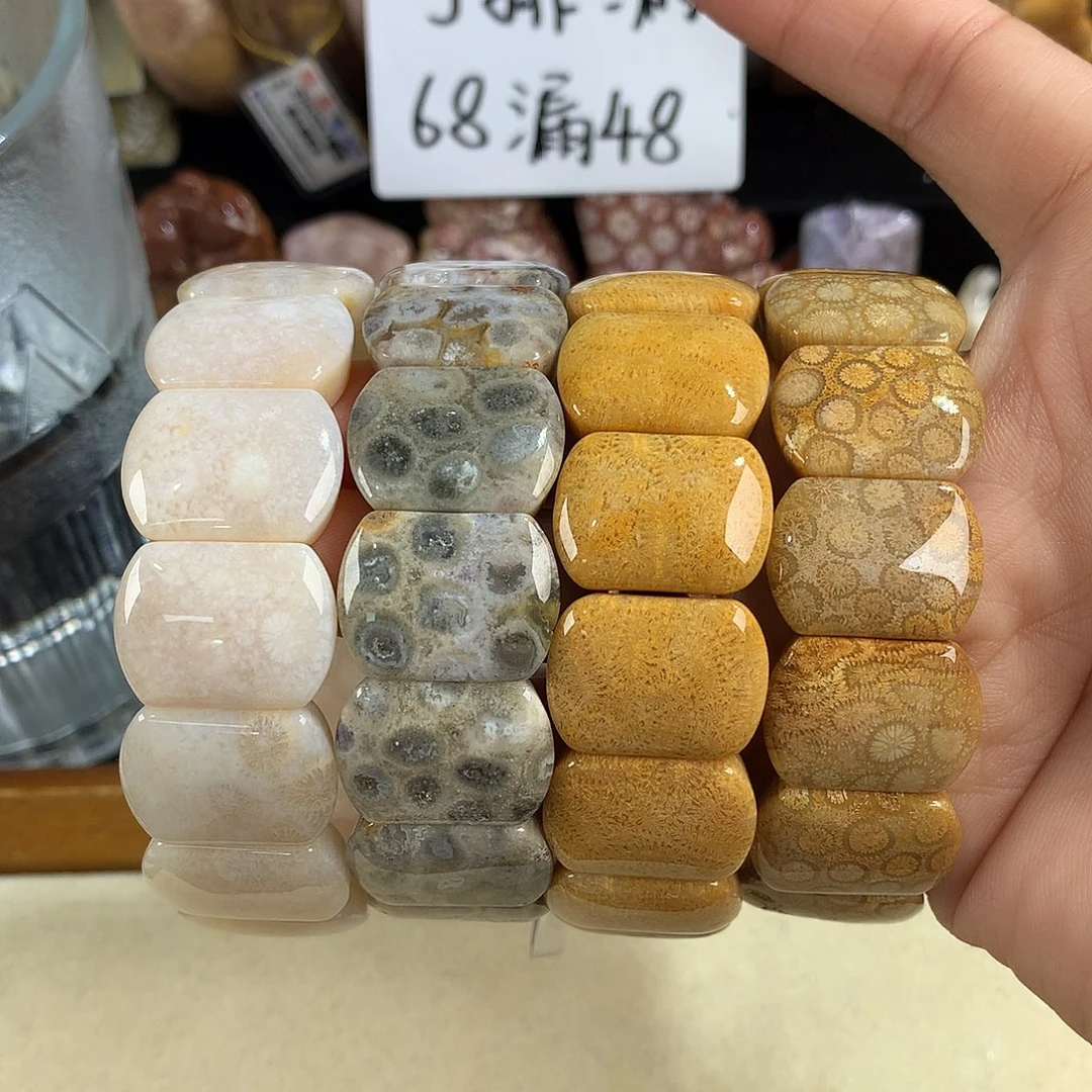 吊坠(赠链)未镶嵌硅化珊瑚（珊瑚玉）33号68漏48一条可挑