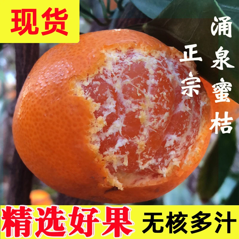 临海涌泉蜜桔早熟蜜橘5斤当季新鲜桔子非黄岩水果10斤无核橘子
