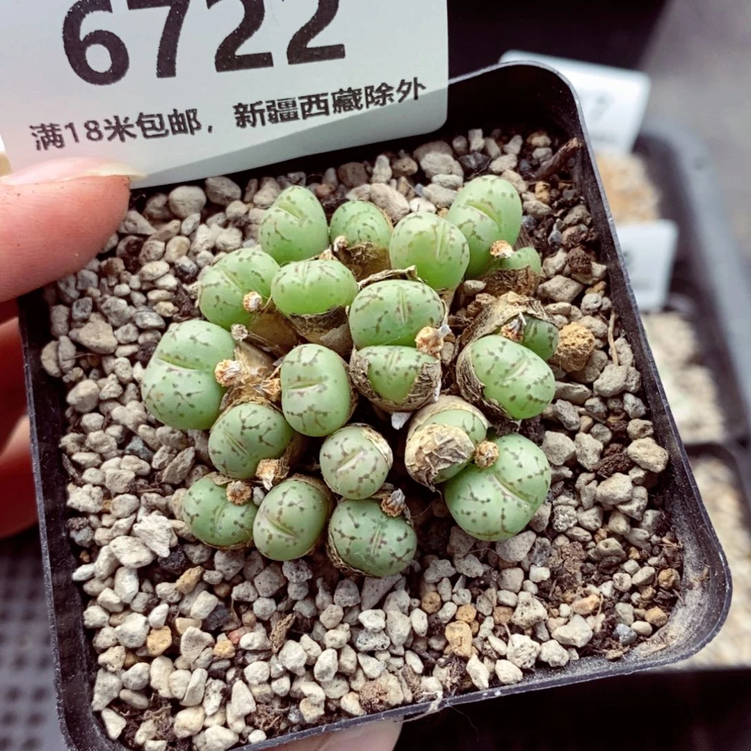 6722。