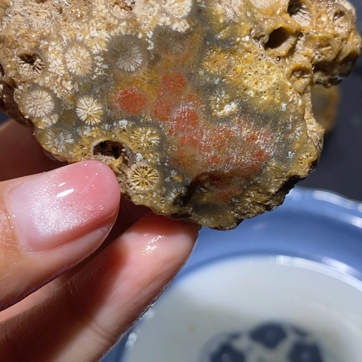 【闪购商品】未镶嵌珊瑚玉硅化玉