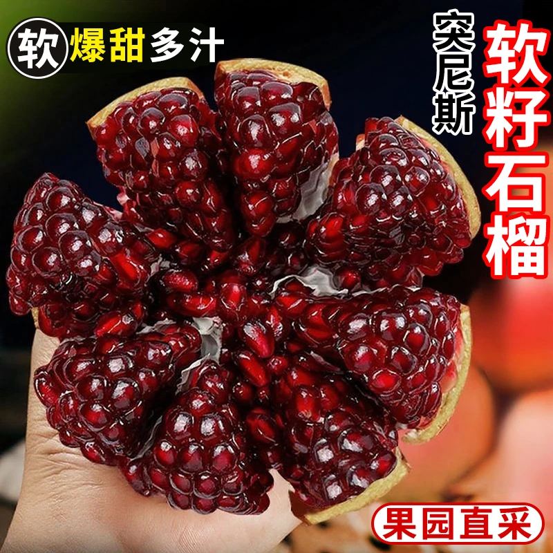 正宗四川会理突尼斯软籽石榴水果产地直发当季新鲜特大果应季无籽