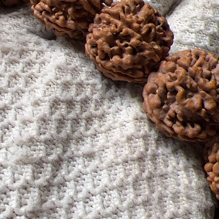 金刚菩提手串渔**劉22麦穗龙