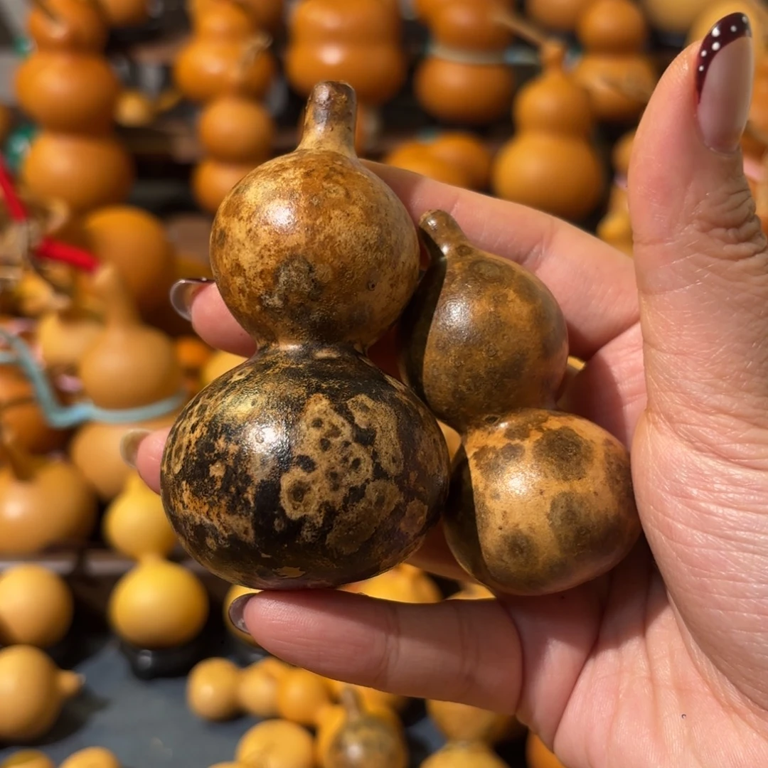 ****೨葫芦花皮葫芦葫芦