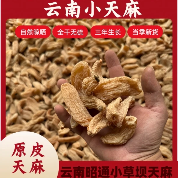 云南小天麻老品种天麻原产地本色无熏硫小草坝天麻品质好的干天麻
