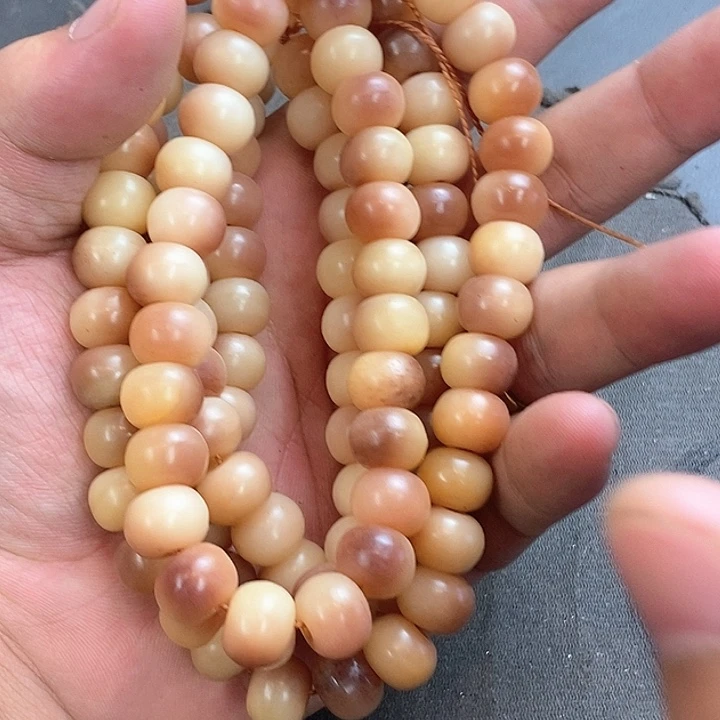 大果紫檀（缅甸花梨）181