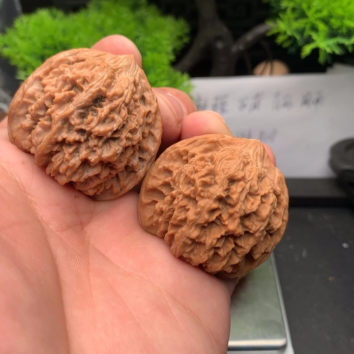 吊坠文玩核桃44满天星