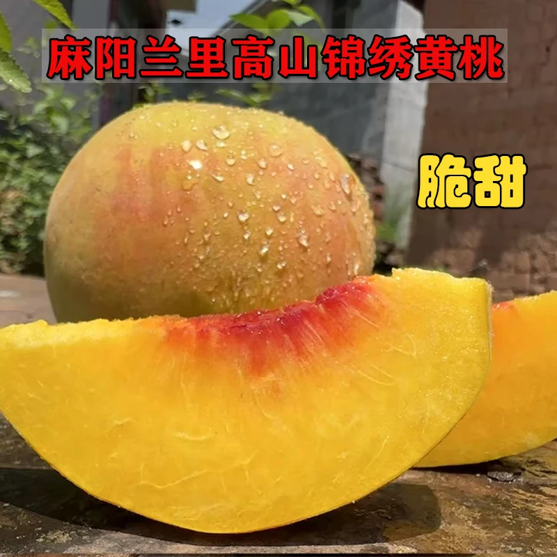 湖南麻阳高山锦绣黄桃子麻阳特产脆甜水果应季新鲜红心整箱5斤
