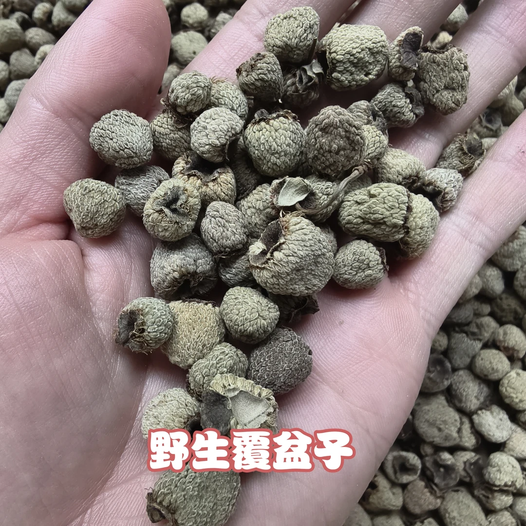 天然~野生覆盆子 搭配桑葚泡水