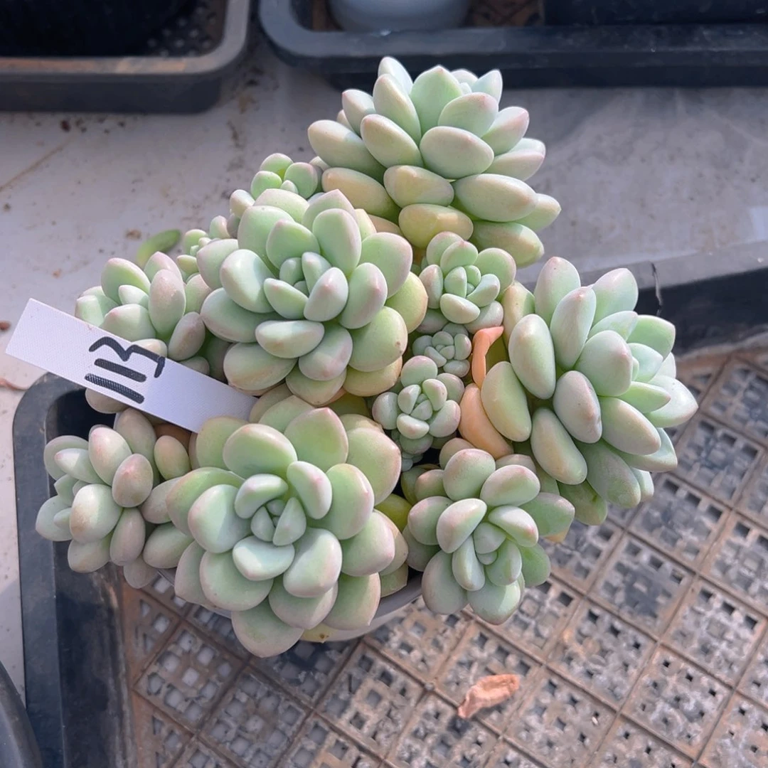 熙*福利来啦打榜啦打榜啦