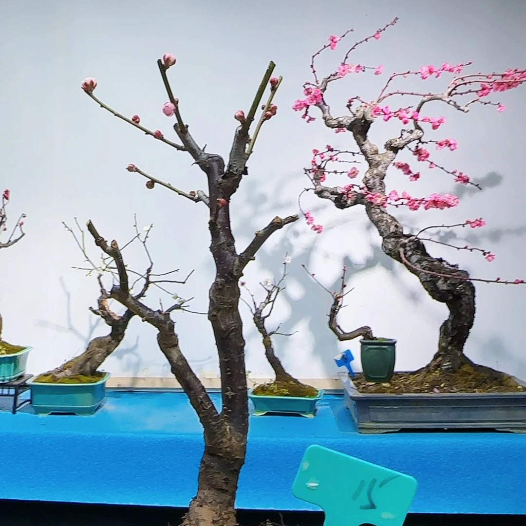 无铅玻璃敖*儿d g h k k l