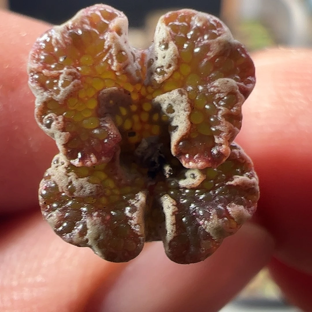 0000一物一拍。    498