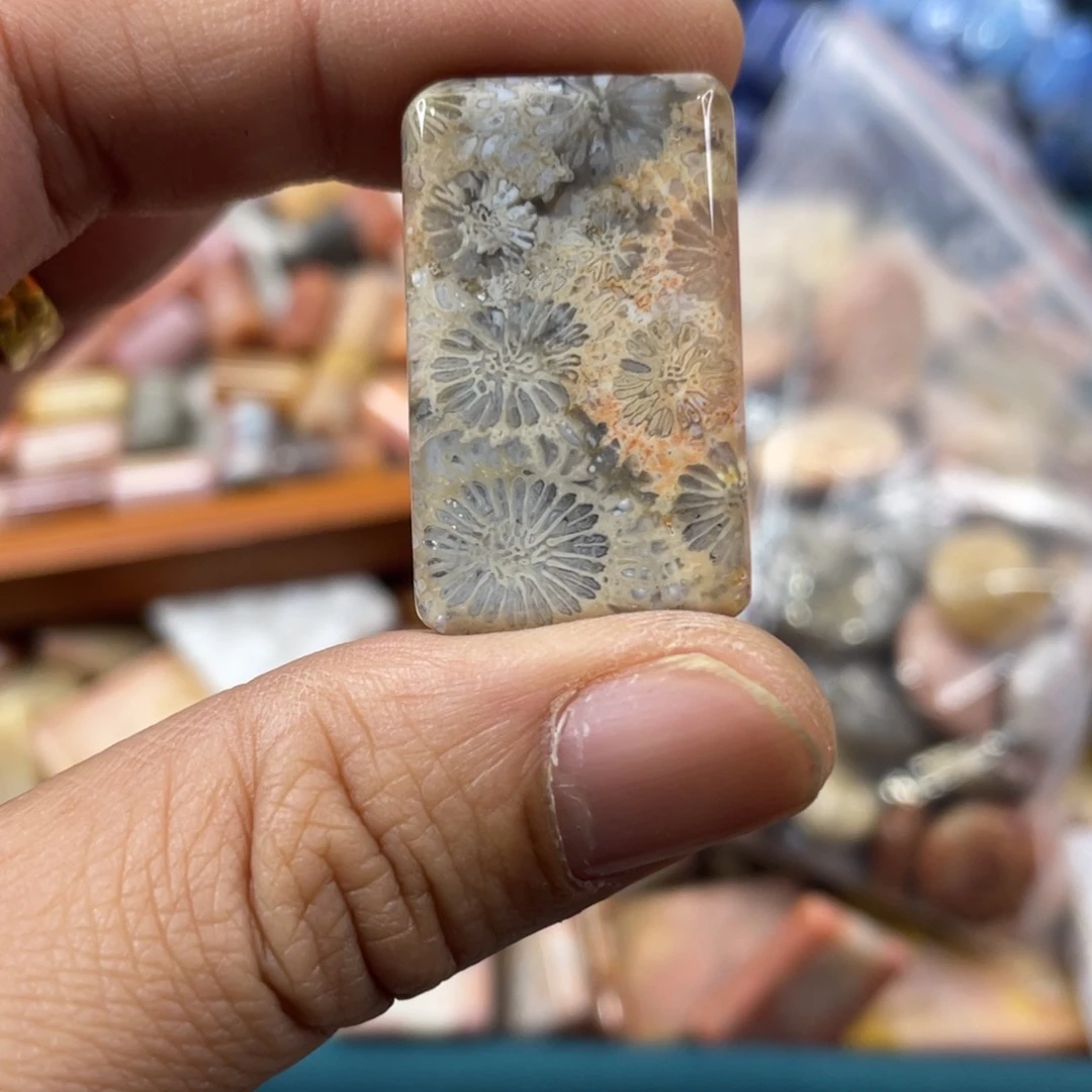 未镶嵌手镯硅化玉