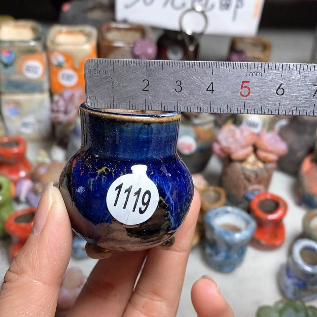 多肉花盆，拍5送一个小礼物