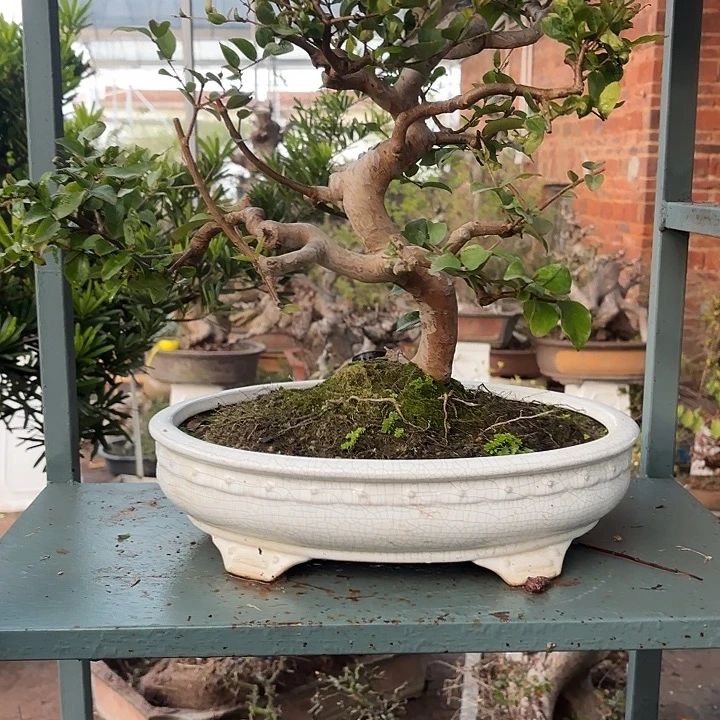 友***谊无花朵哈哈哈哈哈哈