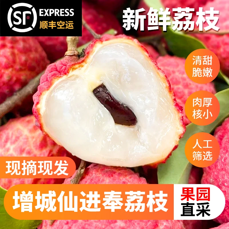 新鲜仙进奉荔枝小核肉厚果园现摘先发顺丰空运包邮A+级别大果品质