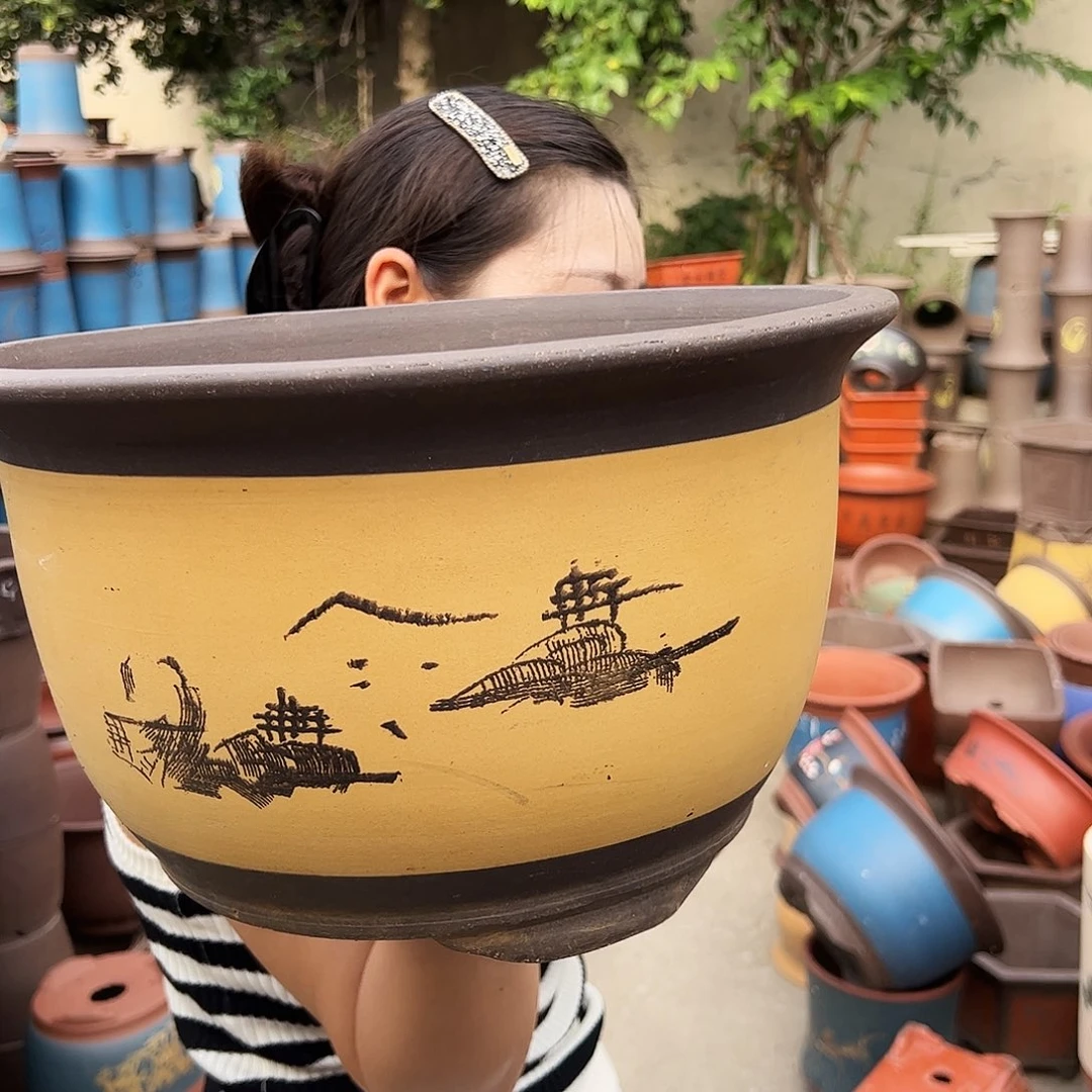 003花盆花盆花盆花盆花盆