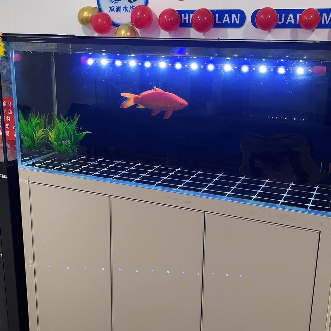 玻璃大****?1505050背滤双鱼马桶不要滤材和水泵