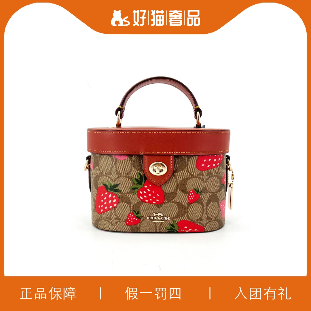 95新 COACH/蔻驰 深棕印花草莓盒子包/C2554/19X14X9