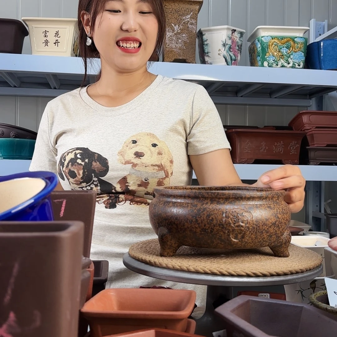 枸***茶紫砂花盆宜兴紫荆