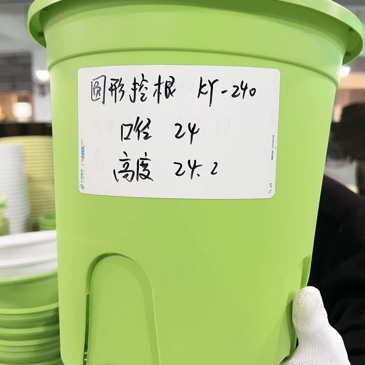 正品圆控口24高24果绿5只无托