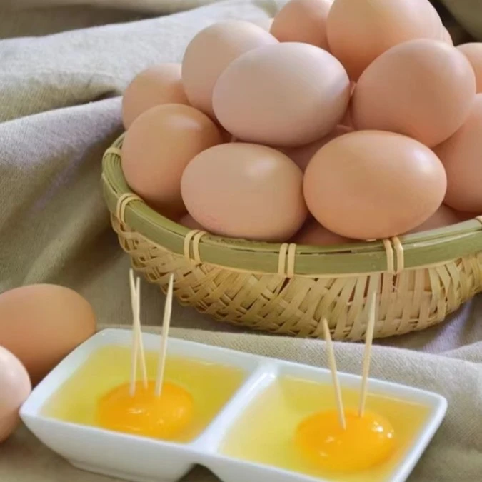 云南高原农家高山土鸡蛋精装农产品