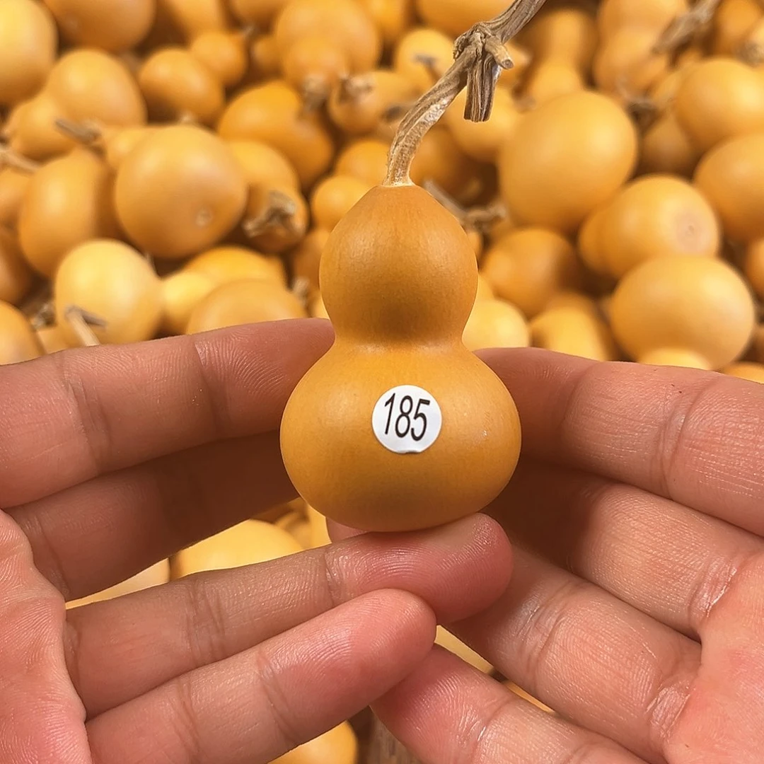 一葫芦葫芦葫芦葫芦葫芦185