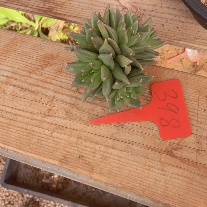 是吗这不比以前还难受