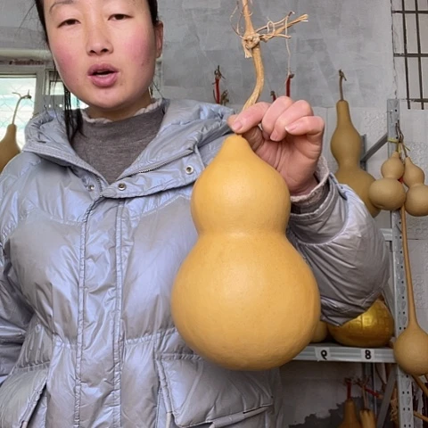 用****8天然植物葫芦文玩