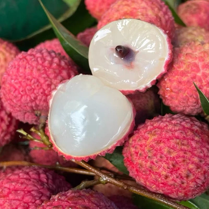 【老树桂味】广西灵山新鲜采摘桂味当季水果顺丰冷链带箱5斤