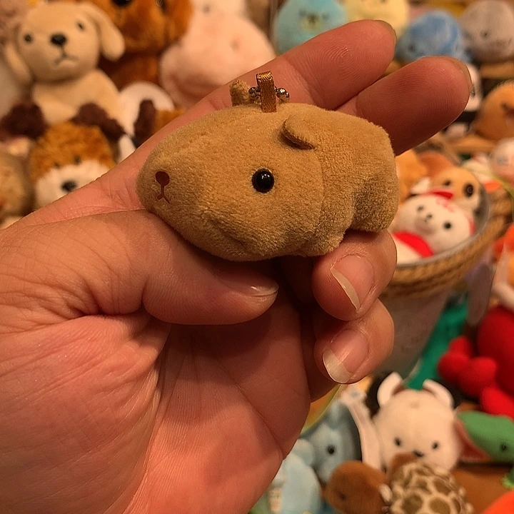 毛绒挂件豆袋哈哈哈哈哈