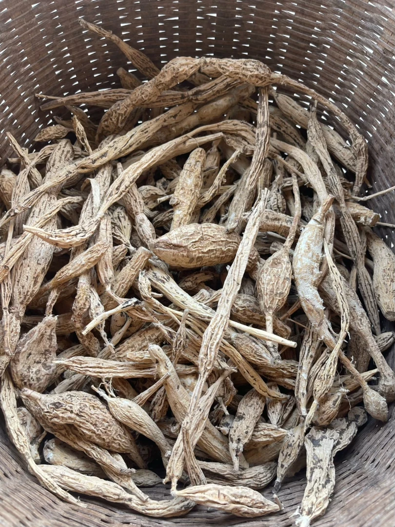 广西深山野生金根木牛大力刮皮干不整条
