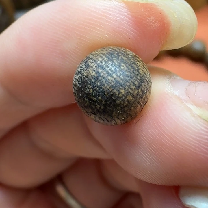 大叶紫檀（黑酸枝木类）