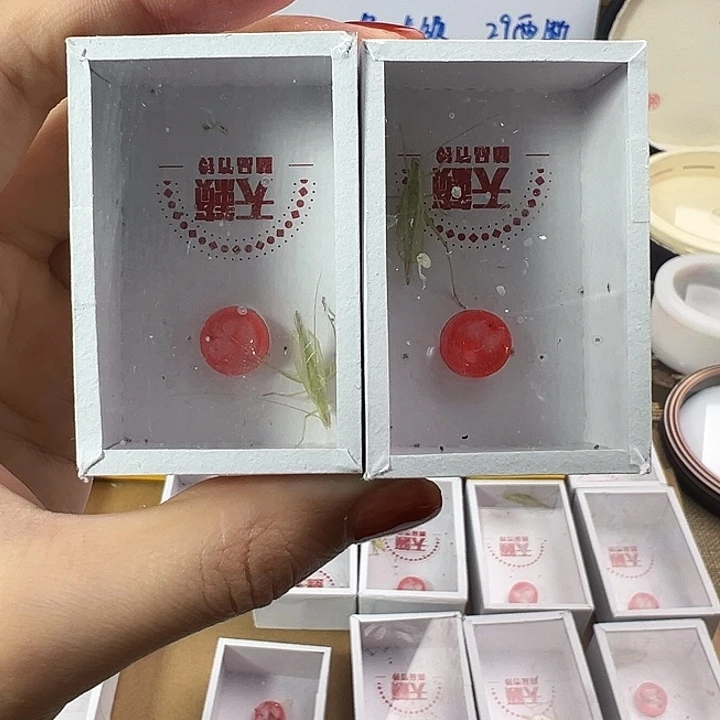 天籁人工青竹蛉两只