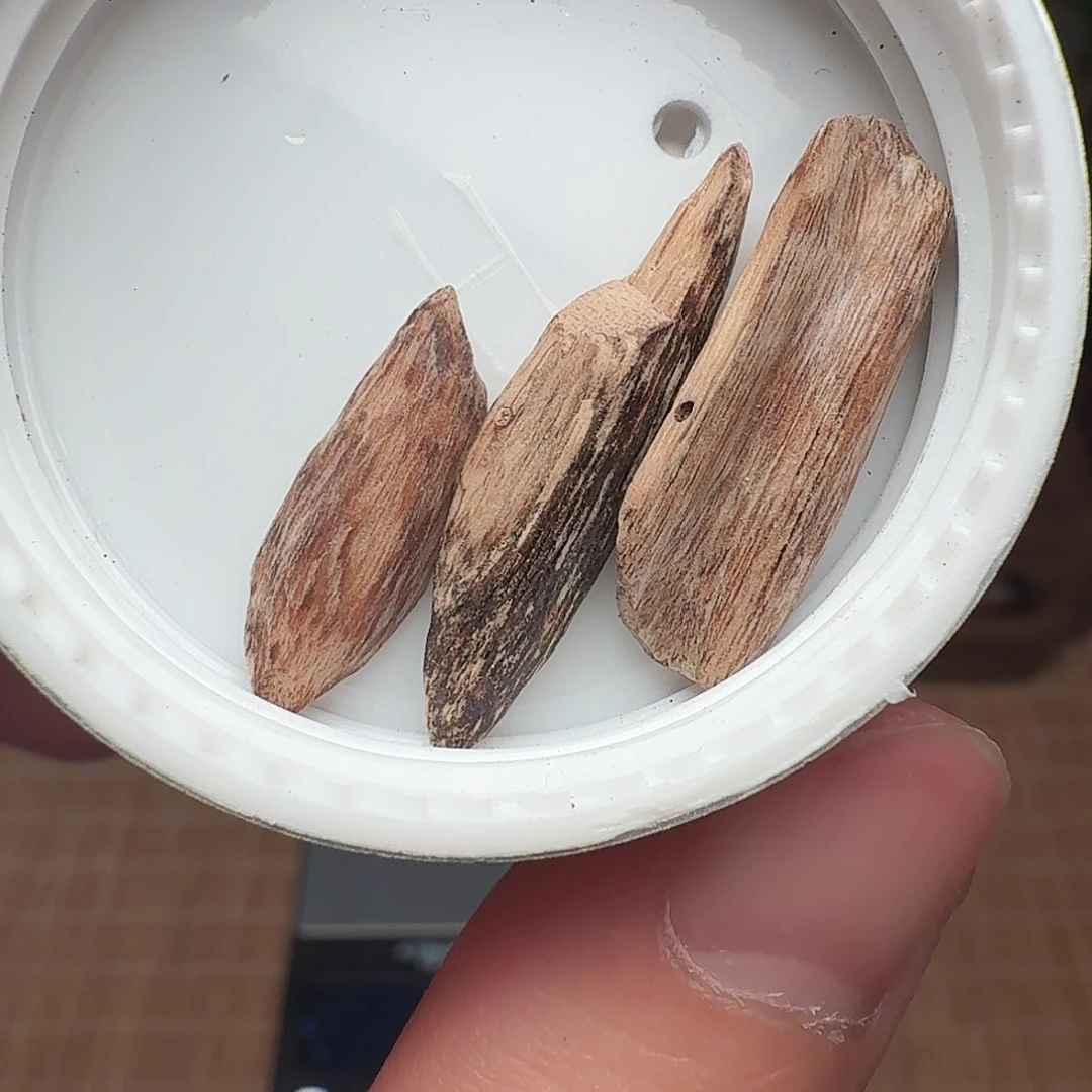 沉香海南黄油格瓜子