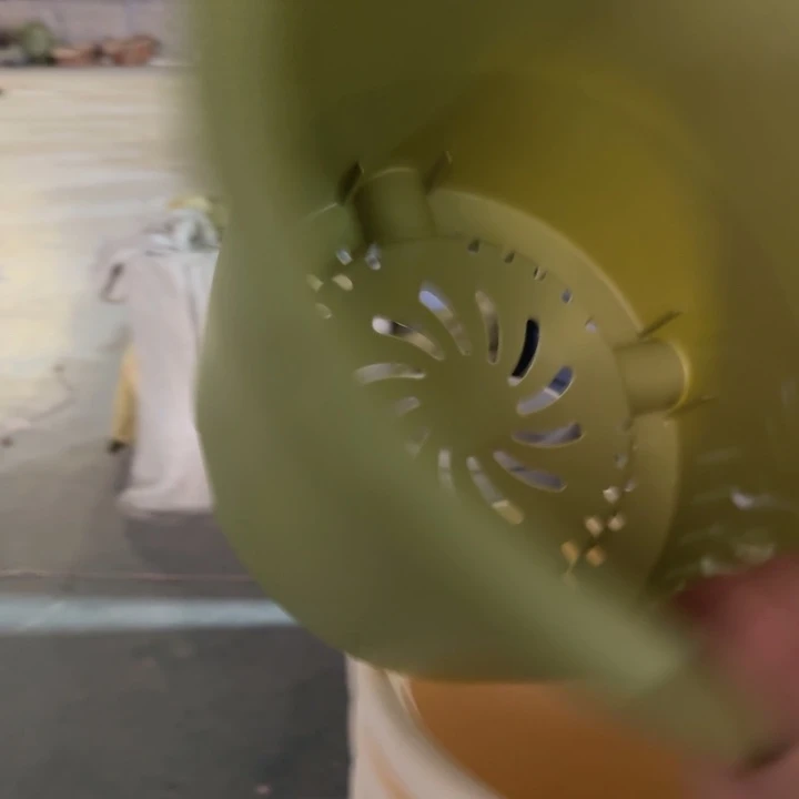 四季6号果绿无托7个特价微瑕