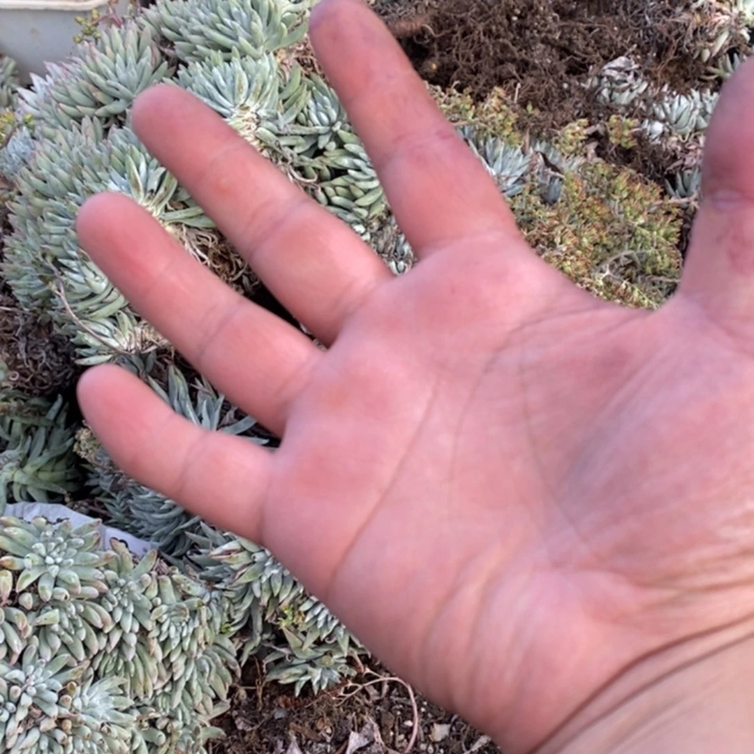 123456h h h h h h h h h