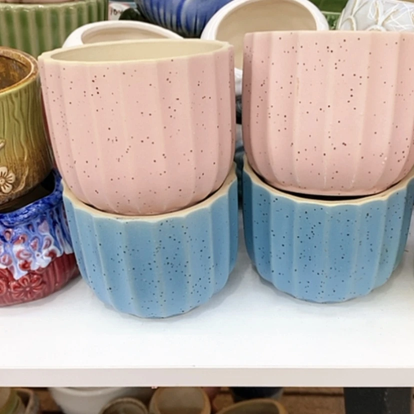 【闪购商品】福利花盆9.99包邮