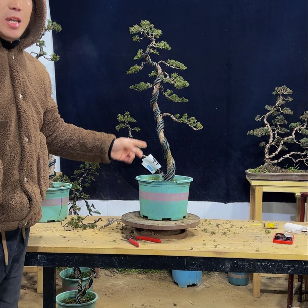 济州济州济州济州