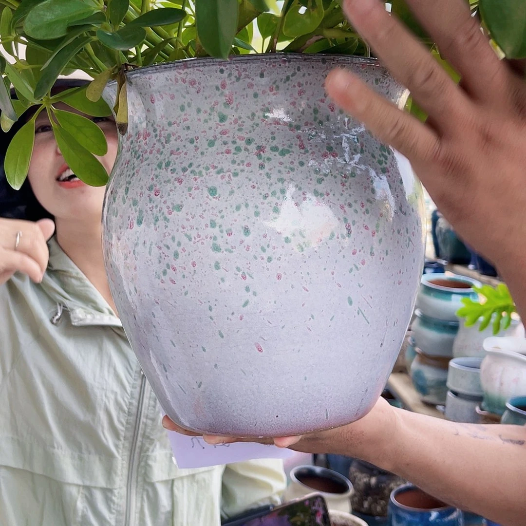 王嫂花盆直播0524-五大花