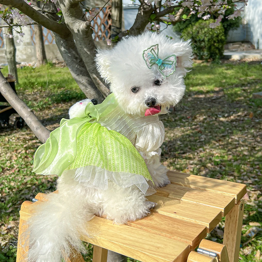 狗狗春夏重工高档新中式熊猫团子公主裙泰迪比熊博美猫咪宠物衣服