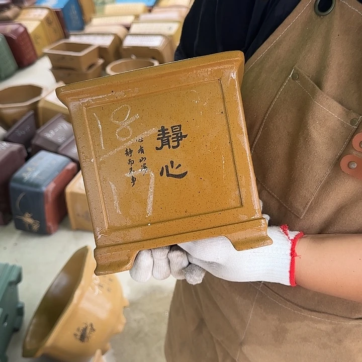 是因为她没有那么想过