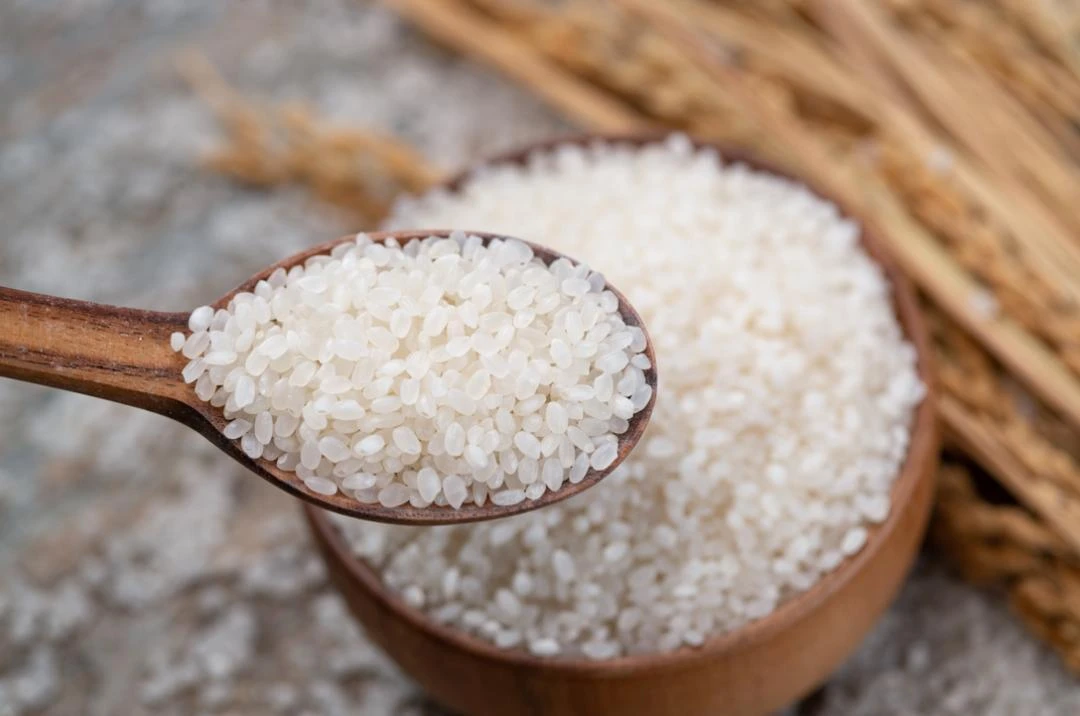 龙腾专属-【大米】