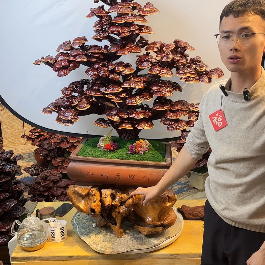 无花朵888888888888